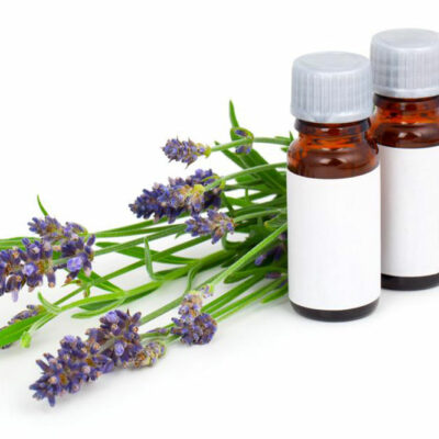 Essential Oils and Their Benefits for Pets