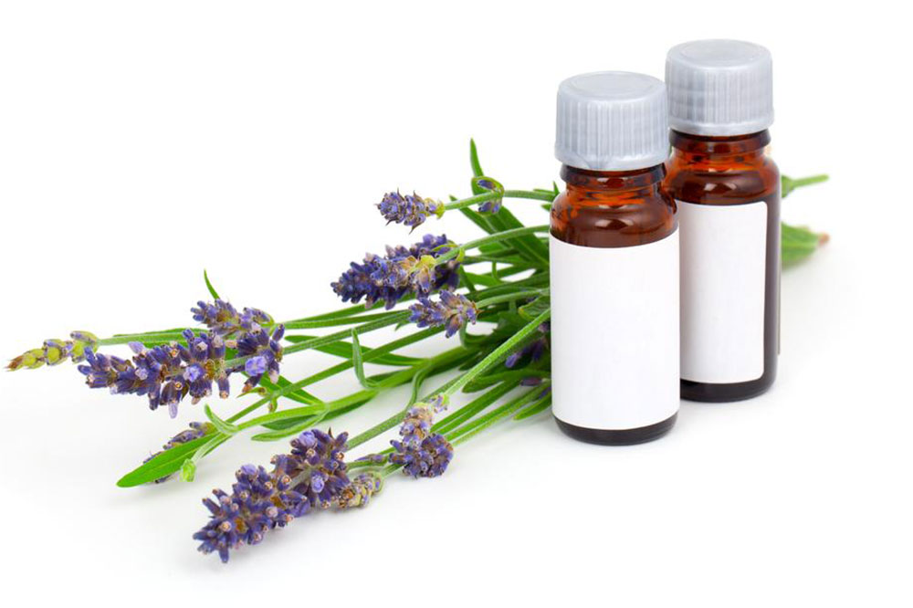 Essential Oils and Their Benefits for Pets