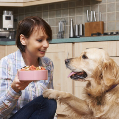 The Worst Human Foods for Pets