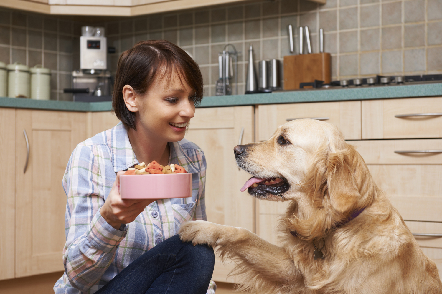 The Worst Human Foods for Pets