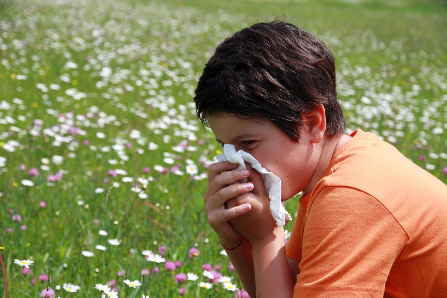 The Worst U.S. Cities for Asthma and Allergies